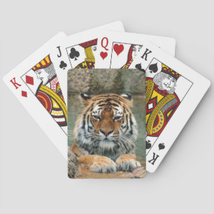 Schönes Tigerdeck Spielkarten