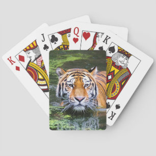 Schönes Tigerdeck Spielkarten
