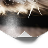 Schönes Tigergesicht Fotodruck (Ecke)