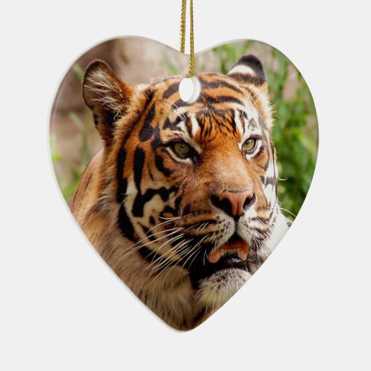 Schönes Tigergesicht Keramikornament (Rechts)