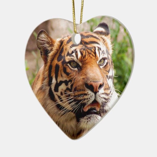 Schönes Tigergesicht Keramikornament (Links)