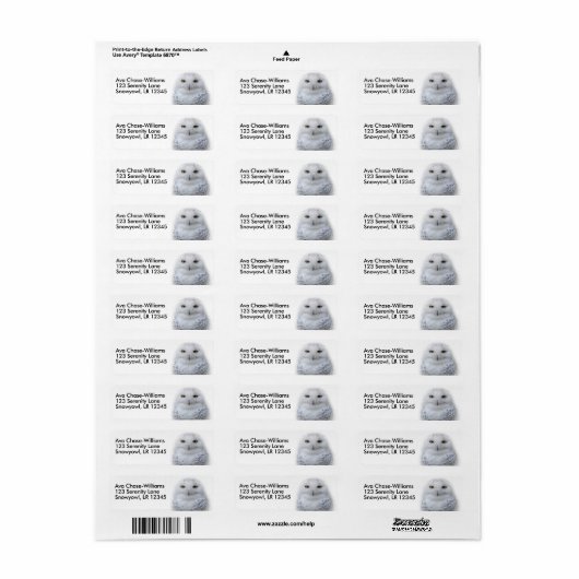 Schönes, traumhaftes und serenschneesicheres Owl (Vorne)