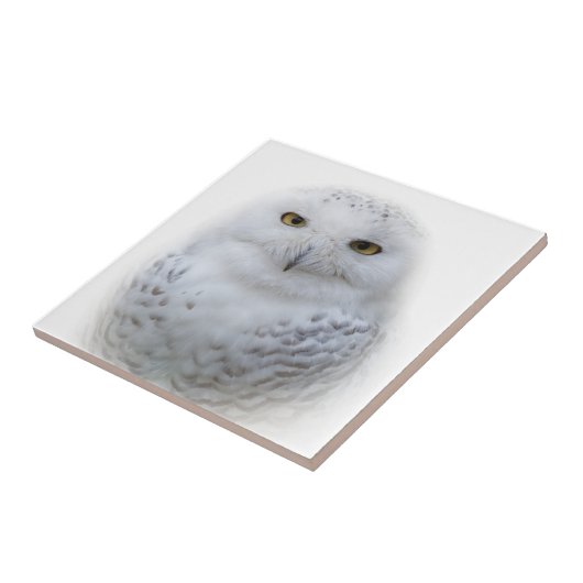 Schönes, traumhaftes und serenschneesicheres Owl Fliese (Seite)