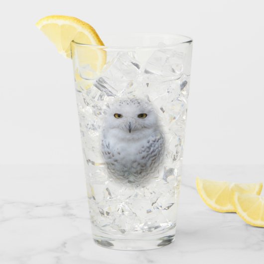 Schönes, traumhaftes und serenschneesicheres Owl Glas (Vorderseite Ice)