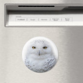 Schönes, traumhaftes und serenschneesicheres Owl Magnet (In Situ (Geschirrspüler))