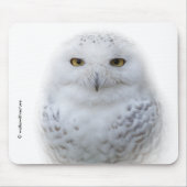 Schönes, traumhaftes und serenschneesicheres Owl Mousepad (Vorne)