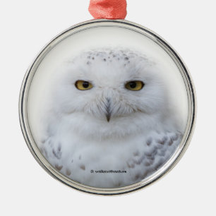 Schönes, traumhaftes und serenschneesicheres Owl Ornament Aus Metall