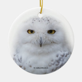 Schönes, traumhaftes und serenschneesicheres Owl Ornament Aus Metall