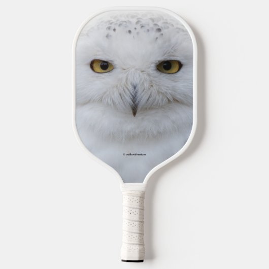 Schönes, traumhaftes und serenschneesicheres Owl Pickleball Schläger (Rückseite)
