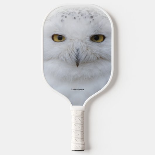 Schönes, traumhaftes und serenschneesicheres Owl Pickleball Schläger (Vorderseite)