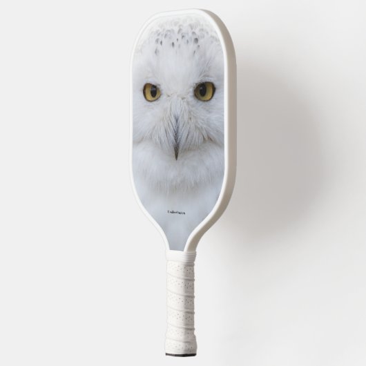 Schönes, traumhaftes und serenschneesicheres Owl Pickleball Schläger (Links)