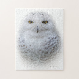 Schönes, traumhaftes und serenschneesicheres Owl Puzzle