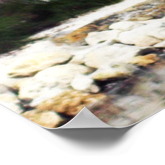 Schönes Tropical Bird Foto Poster (Ecke)