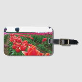 Schönes Tulip-Feld mit Heißluftballons Gepäckanhänger (Vorderseite (Horizontal))