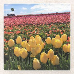 Schönes Tulip Field mit Heißluftballon, Oregon Glasuntersetzer