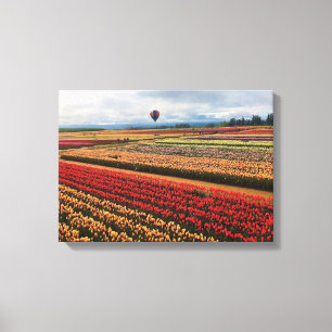 Schönes Tulip Field mit Heißluftballon, Oregon Leinwanddruck