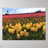 Schönes Tulip Field mit Heißluftballon, Oregon Poster (Vorne)
