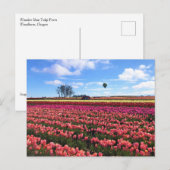 Schönes Tulip Field mit Heißluftballon, Oregon Postkarte (Vorne/Hinten)