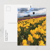 Schönes Tulip Field mit Heißluftballon, Oregon Postkarte (Vorne/Hinten)