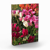 Schönes Tulip Garden Bed. Oregon Fotoblock (Links)