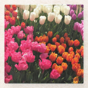 Schönes Tulip Garden Bed. Oregon Glasuntersetzer