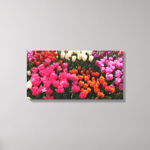 Schönes Tulip Garden Bed. Oregon Leinwanddruck