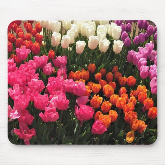 Schönes Tulip Garden Bed. Oregon Mousepad (Vorne)