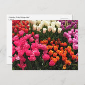 Schönes Tulip Garden Bed. Oregon Postkarte (Vorne/Hinten)
