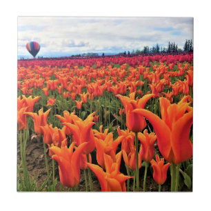 Schönes Tulpenfeld mit Heißluftballon, Oregon Fliese