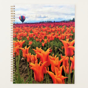 Schönes Tulpenfeld mit Heißluftballon, Oregon Planer