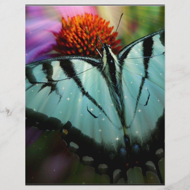 Schönes türkisfarbenes Frack Butterfly (Vorderseite)