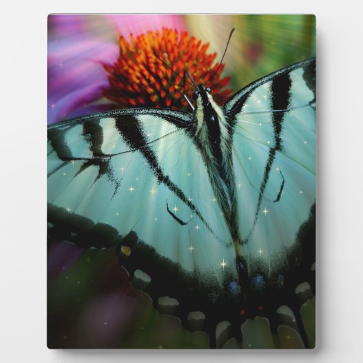 Schönes türkisfarbenes Frack Butterfly Fotoplatte (Vorderseite)