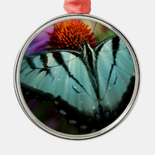 Schönes türkisfarbenes Frack Butterfly Silbernes Ornament