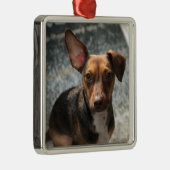 Schönes und niedliches 'Heinz-Varieté'-Fibel Ornament Aus Metall (Rechts)