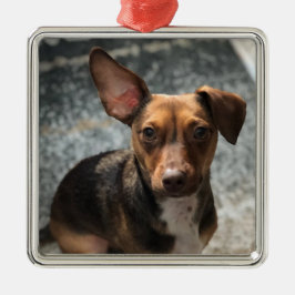 Schönes und niedliches 'Heinz-Varieté'-Fibel Ornament Aus Metall