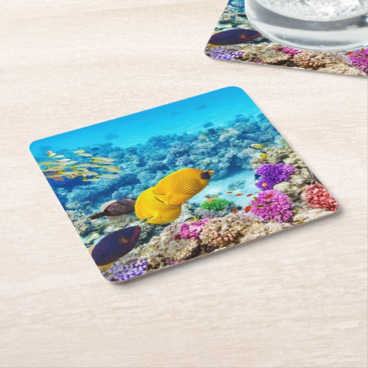 Schönes Untersetzer Set (angewinkelt)