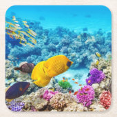 Schönes Untersetzer Set (Vorderseite)