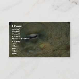 Schönes Untersuchung das Auge einer Riffkrake Visitenkarte