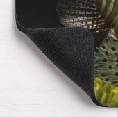 Schönes Unterwasser-Nah-Up einer Löwenfische Mousepad (Ecke)