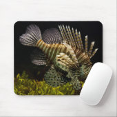 Schönes Unterwasser-Nah-Up einer Löwenfische Mousepad (Mit Mouse)