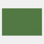 Schönes Urlaubsmuster mit Matching Solids Geschenkpapier Set (Vorderseite 3)