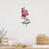 Schönes Vintages botanisches Illustrationspopster Poster (Küche)