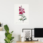 Schönes Vintages botanisches Illustrationspopster Poster (Heimbüro)