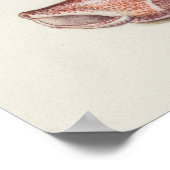 Schönes Vintages botanisches Illustrationspopster Poster (Ecke)