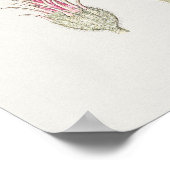 Schönes Vintages botanisches Illustrationspopster Poster (Ecke)