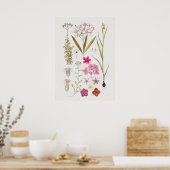 Schönes Vintages botanisches Illustrationspopster Poster (Küche)