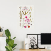 Schönes Vintages botanisches Illustrationspopster Poster (Heimbüro)