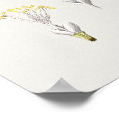 Schönes Vintages botanisches Illustrationspopster Poster (Ecke)
