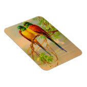 schönes Vogelbild Magnet (Rechte Seite)