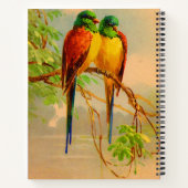 schönes Vogelbild Notizblock (Rückseite)